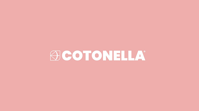 L’analisi self-service come supporto alle scelte strategiche e di business di Cotonella